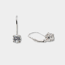 Load image into Gallery viewer, White Zircon Drop Earrings